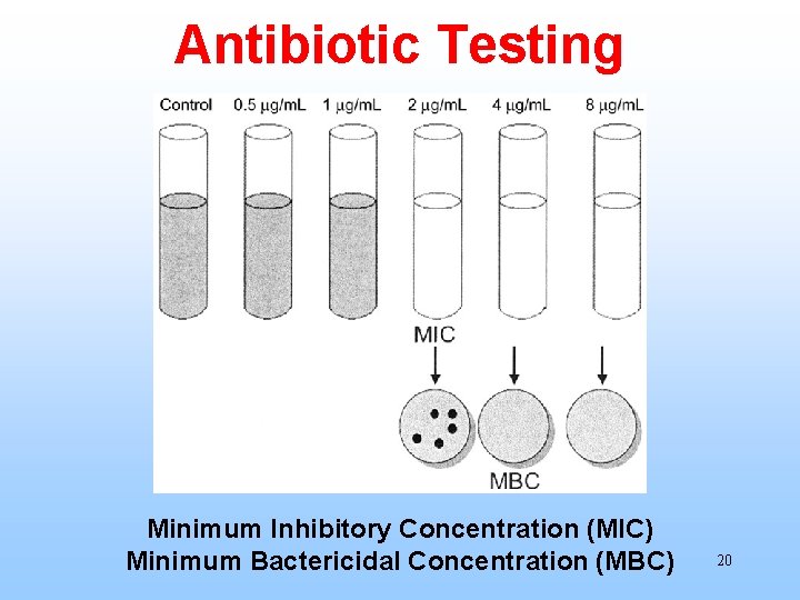Antibiotic Testing Minimum Inhibitory Concentration (MIC) Minimum Bactericidal Concentration (MBC) 20 