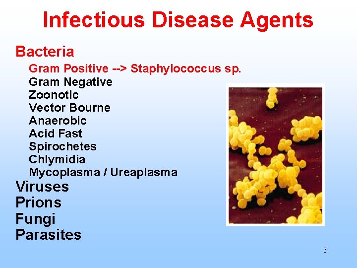 Infectious Disease Agents Bacteria Gram Positive --> Staphylococcus sp. Gram Negative Zoonotic Vector Bourne