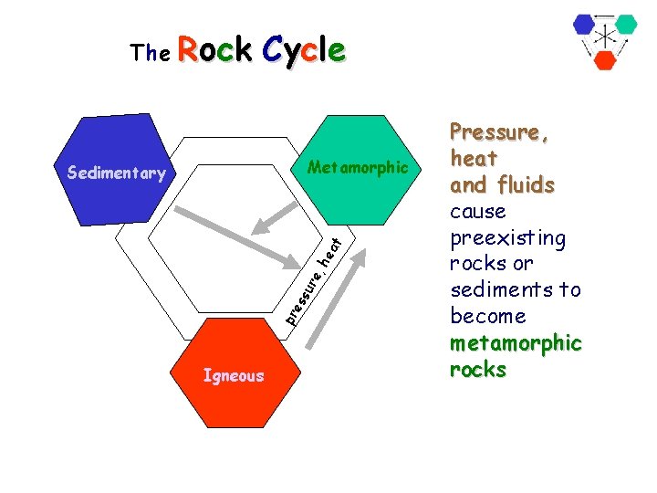 The Rock Cycle Metamorphic pr es su re , h ea t Sedimentary Igneous
