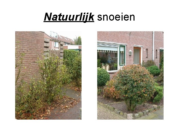 Natuurlijk snoeien 