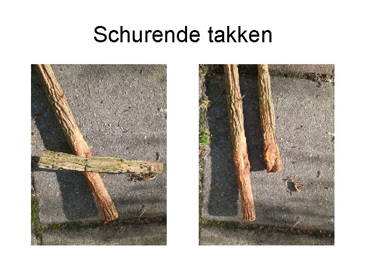 Schurende takken 