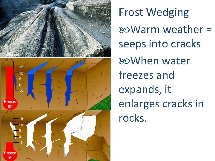 Frost Wedging Warm weather = seeps into cracks When water freezes and expands, it