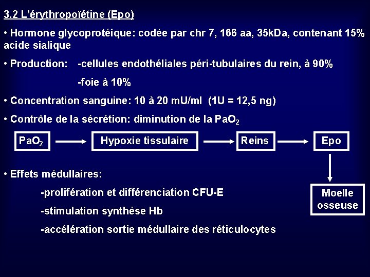 3. 2 L’érythropoïétine (Epo) • Hormone glycoprotéique: codée par chr 7, 166 aa, 35