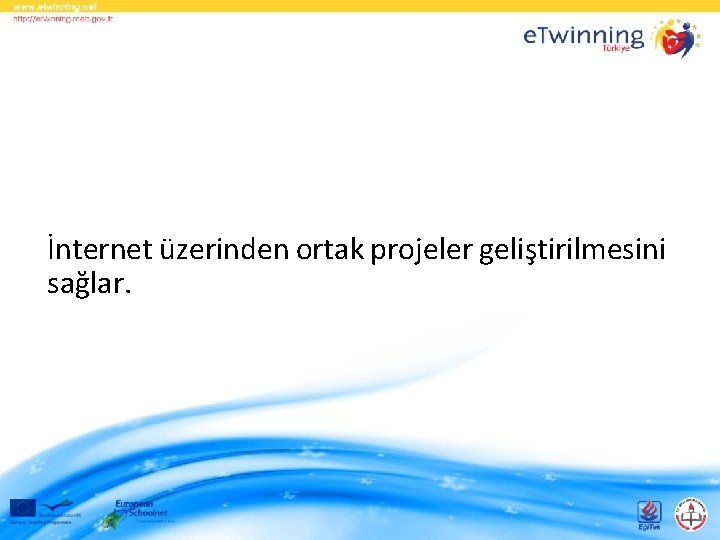 İnternet üzerinden ortak projeler geliştirilmesini sağlar. 