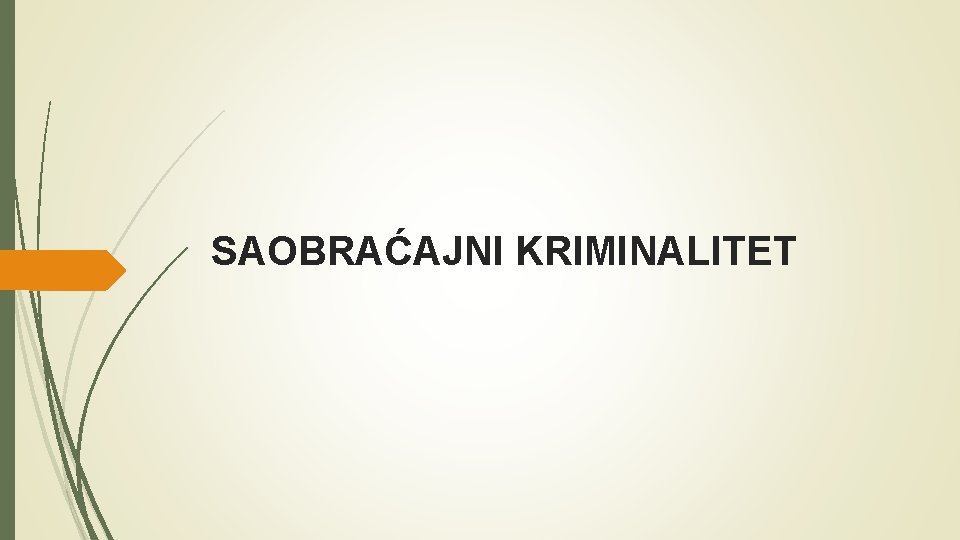 SAOBRAĆAJNI KRIMINALITET 