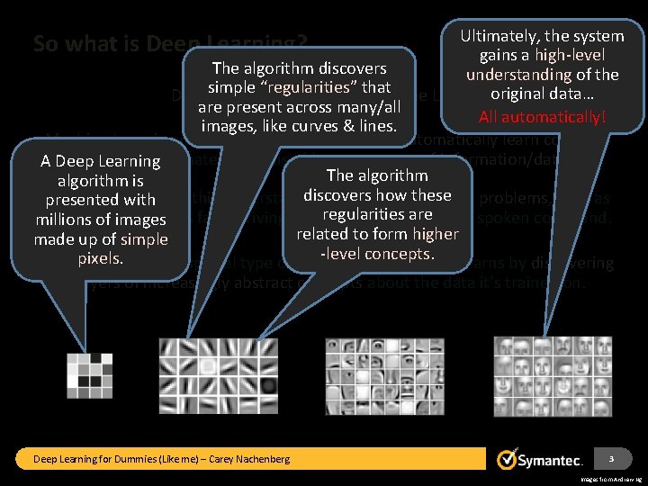Ultimately, the system gains a high-level The algorithm discovers understanding of the simple “regularities”