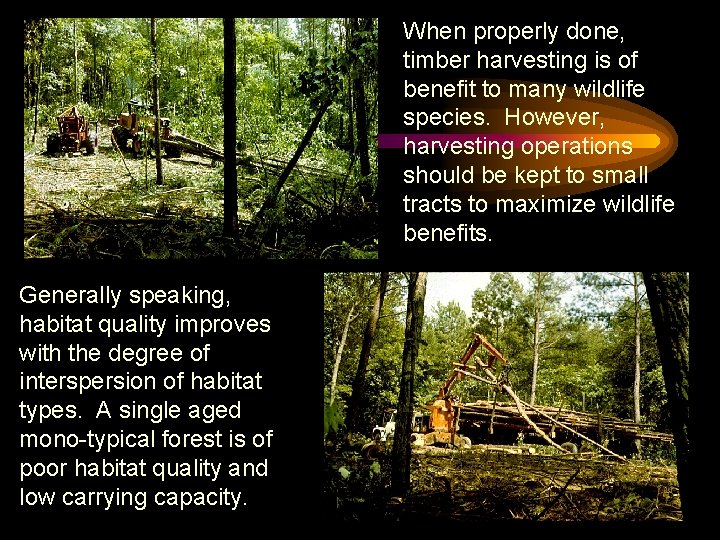 When properly done, timber harvesting is of benefit to many wildlife species. However, harvesting