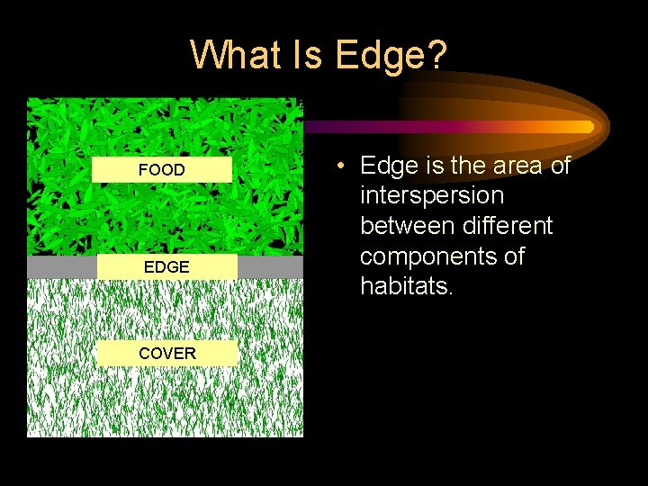 What Is Edge? FOOD EDGE COVER • Edge is the area of interspersion between