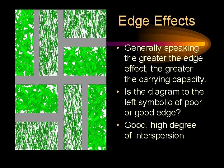 Edge Effects • Generally speaking, the greater the edge effect, the greater the carrying