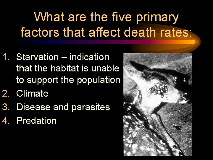 What are the five primary factors that affect death rates: 1. Starvation – indication