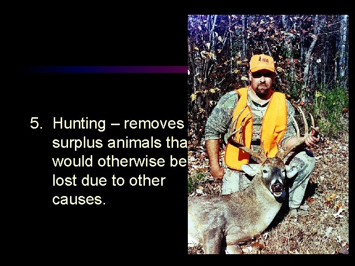 5. Hunting – removes surplus animals that would otherwise be lost due to other