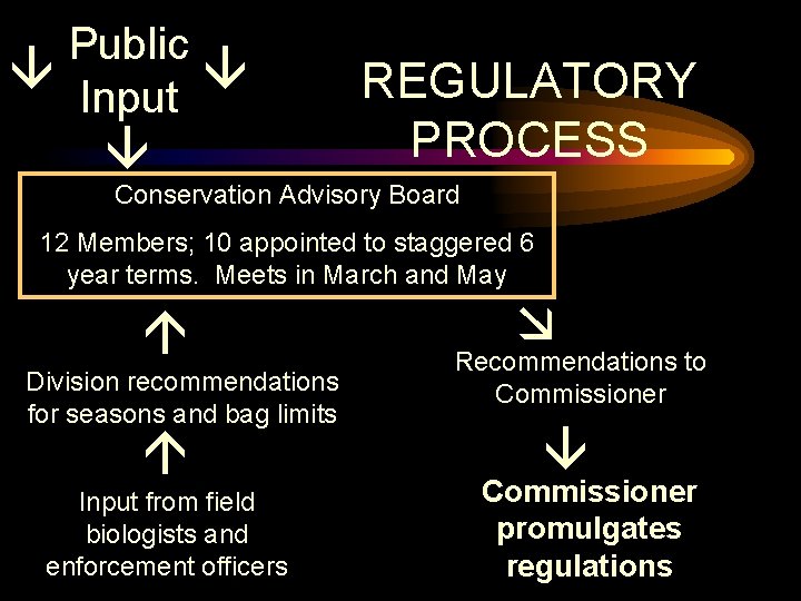 Public Input REGULATORY PROCESS Conservation Advisory Board 12 Members; 10 appointed to staggered 6