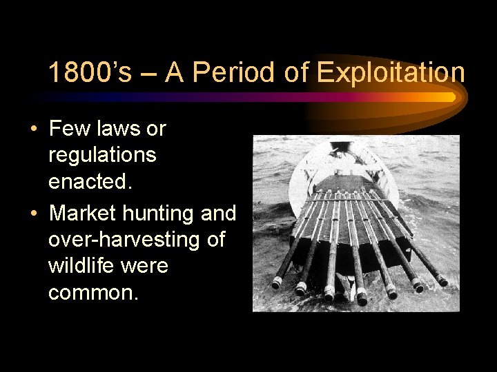 1800’s – A Period of Exploitation • Few laws or regulations enacted. • Market