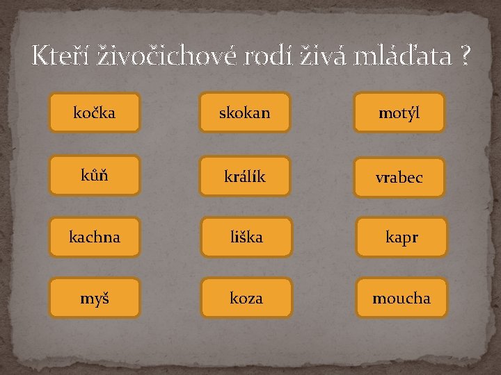 Kteří živočichové rodí živá mláďata ? kočka skokan motýl kůň králík vrabec kachna liška