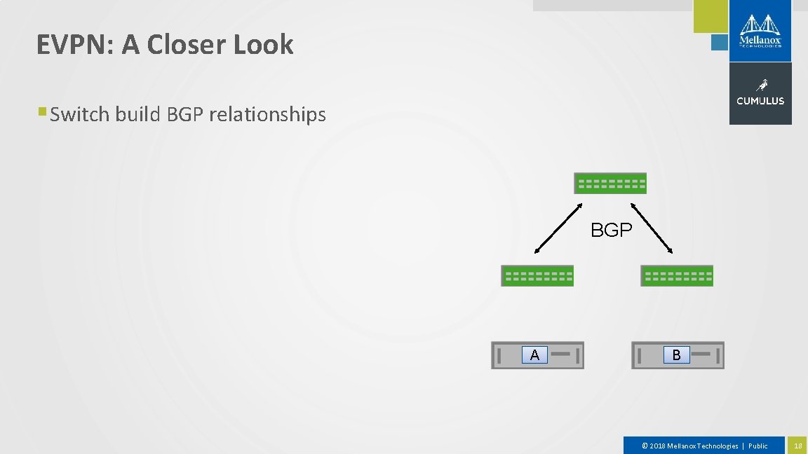 EVPN: A Closer Look § Switch build BGP relationships BGP A B © 2018