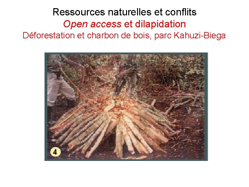 Ressources naturelles et conflits Open access et dilapidation Déforestation et charbon de bois, parc