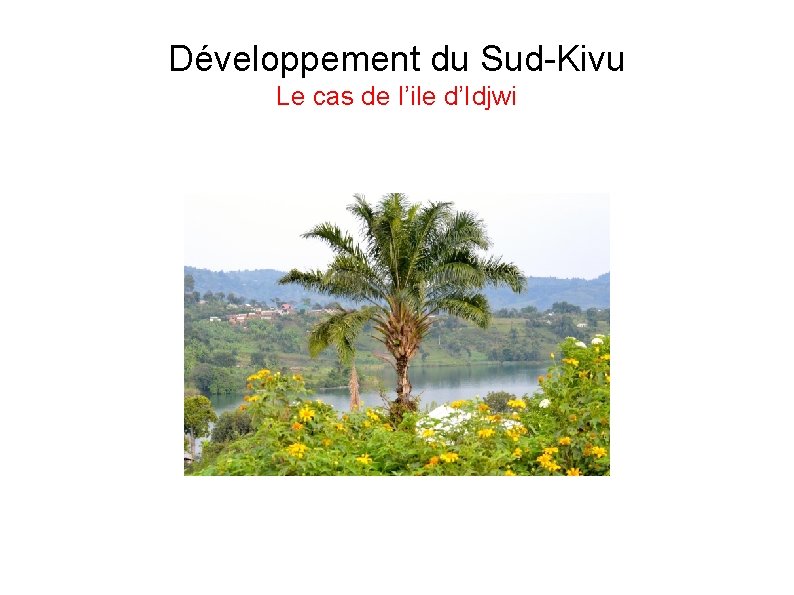 Développement du Sud-Kivu Le cas de l’ile d’Idjwi 