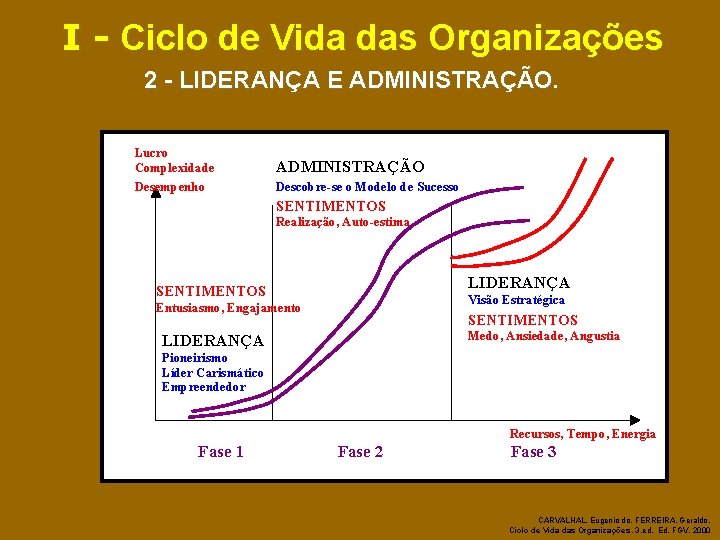 Ciclo de Vida das Organizaes Trabalho em Equipe