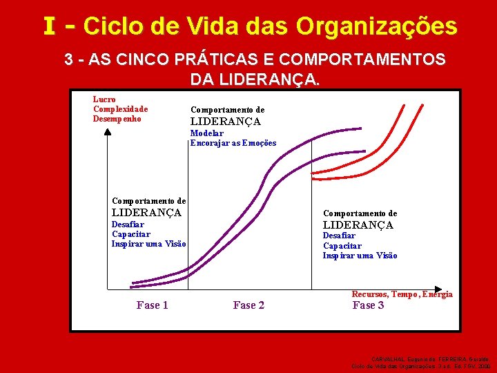 Ciclo de Vida das Organizaes Trabalho em Equipe