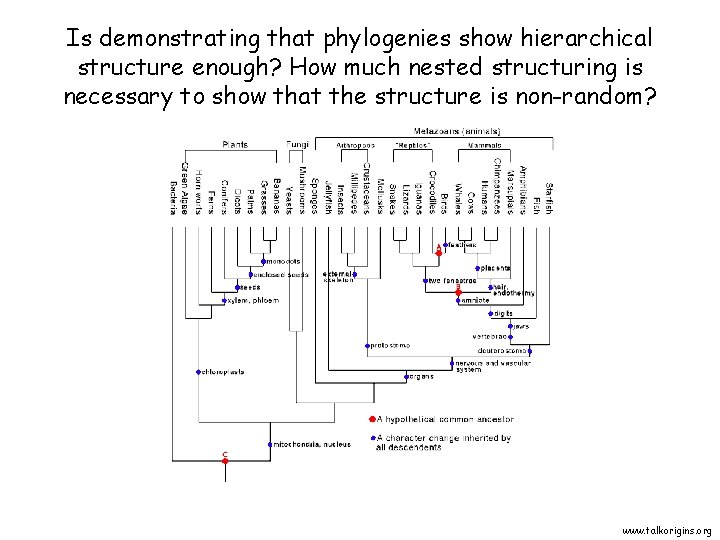 Is demonstrating that phylogenies show hierarchical structure enough? How much nested structuring is necessary