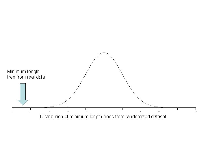 Minimum length tree from real data Distribution of minimum length trees from randomized dataset