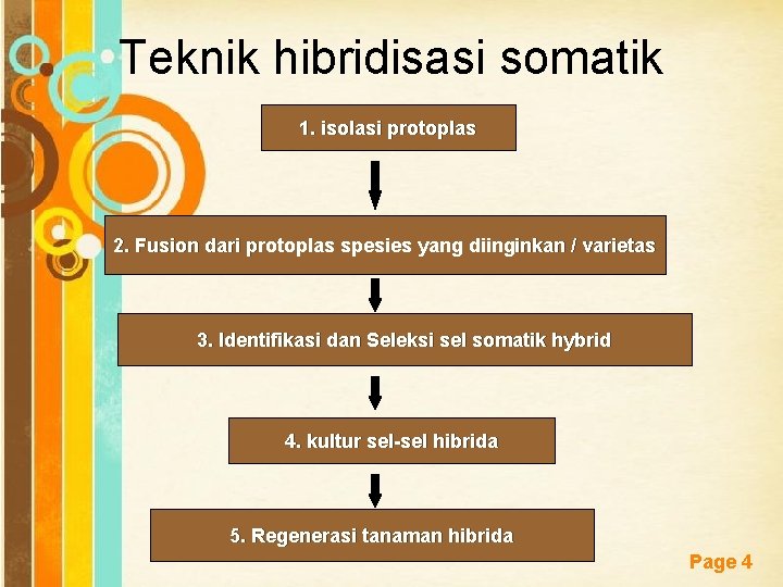 Teknik hibridisasi somatik 1. isolasi protoplas 2. Fusion dari protoplas spesies yang diinginkan /