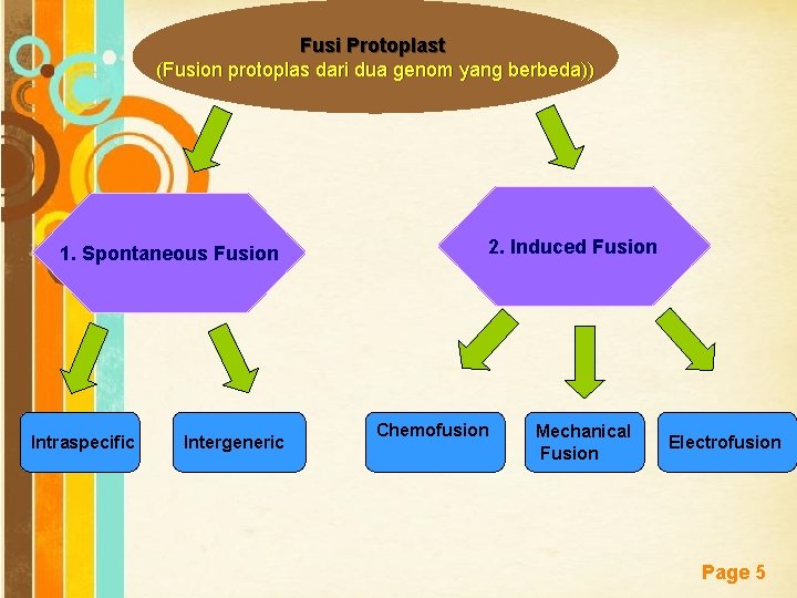 Fusi Protoplast (Fusion protoplas dari dua genom yang berbeda)) 1. Spontaneous Fusion Intraspecific Intergeneric