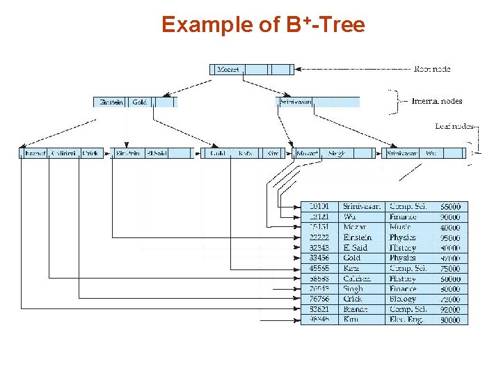 Example of B+-Tree 