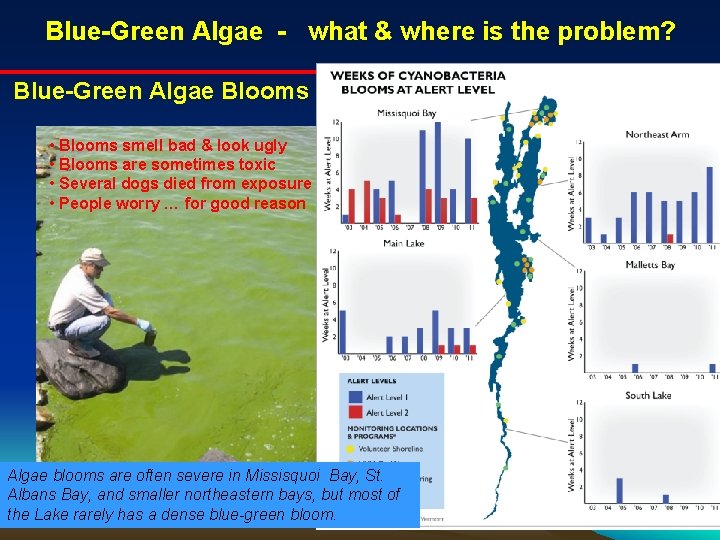 Blue-Green Algae - what & where is the problem? Blue-Green Algae Blooms • Blooms