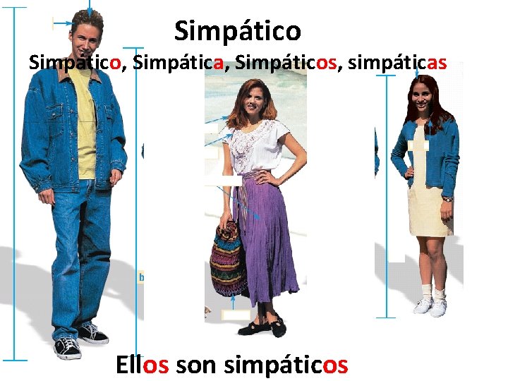 Simpático, Simpática, Simpáticos, simpáticas Ellos son simpáticos 