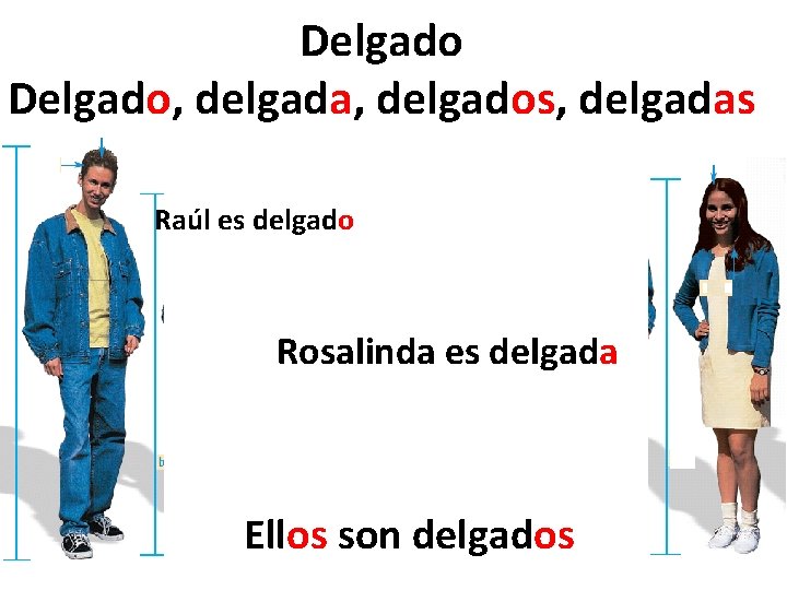 Delgado, delgada, delgados, delgadas Raúl es delgado Rosalinda es delgada Ellos son delgados 