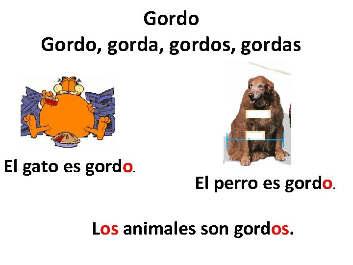 Gordo, gorda, gordos, gordas El gato es gordo. El perro es gordo. Los animales