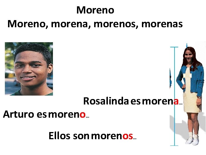 Moreno, morena, morenos, morenas Rosalinda es morena… Arturo es moreno… Ellos son morenos… 