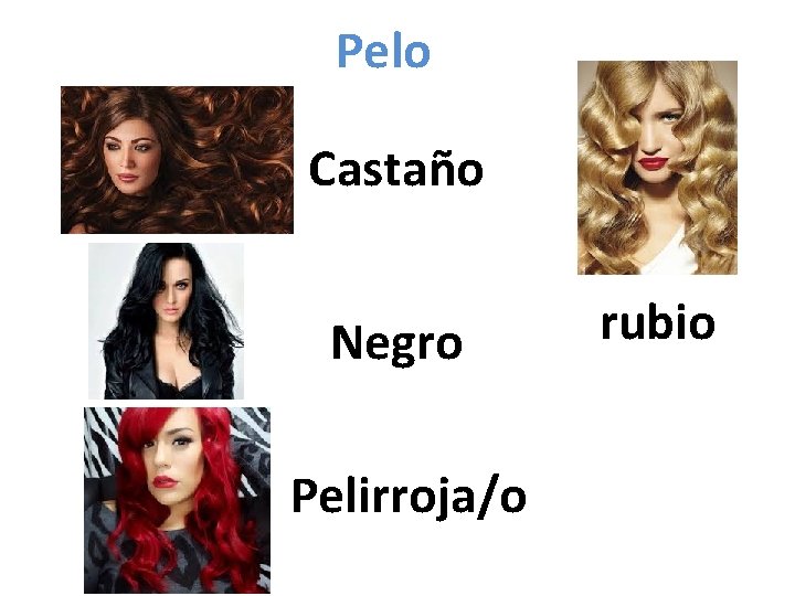 Pelo Castaño Negro Pelirroja/o rubio 