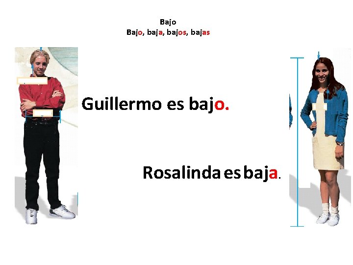 Bajo, baja, bajos, bajas Guillermo es bajo. Rosalinda es baja. 