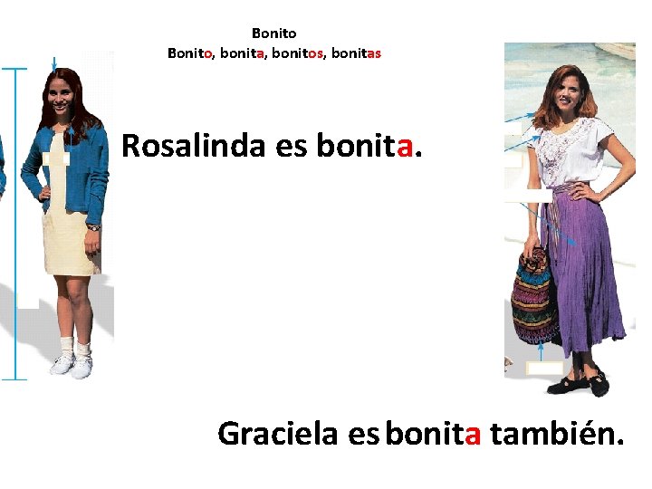 Bonito, bonita, bonitos, bonitas Rosalinda es bonita. Graciela es bonita también. 