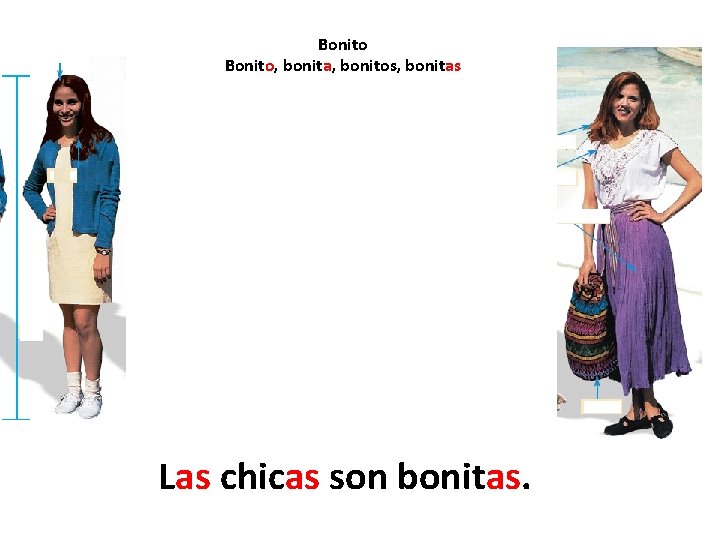 Bonito, bonita, bonitos, bonitas Las chicas son bonitas. 