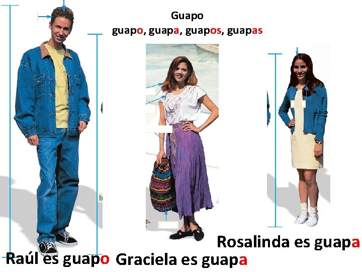 Guapo guapo, guapa, guapos, guapas Rosalinda es guapa Raúl es guapo Graciela es guapa