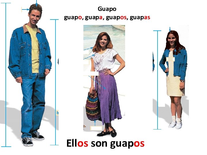 Guapo guapo, guapa, guapos, guapas Ellos son guapos 