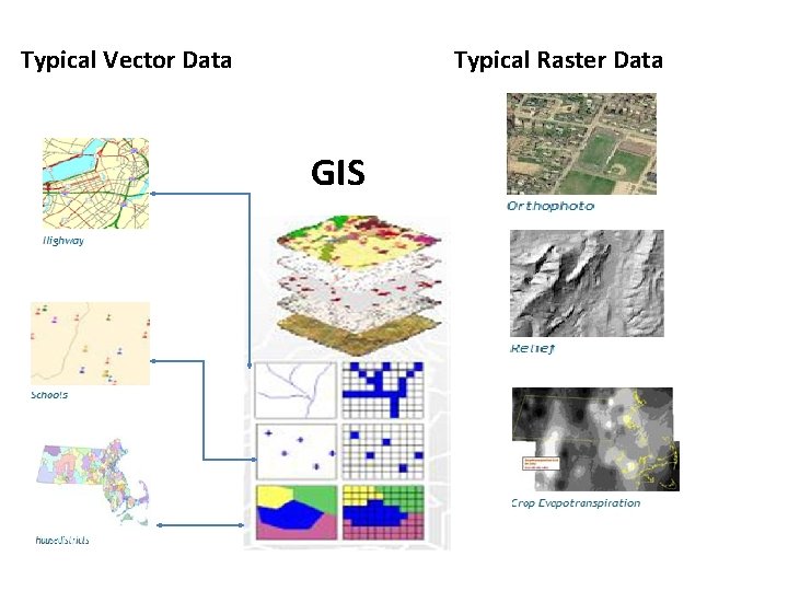 Typical Vector Data Typical Raster Data GIS 
