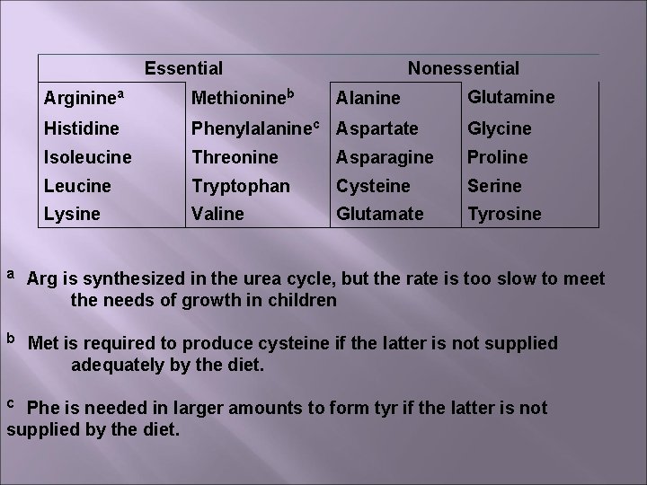 Essential Nonessential Argininea Methionineb Histidine Phenylalaninec Aspartate Glycine Isoleucine Threonine Asparagine Proline Leucine Tryptophan