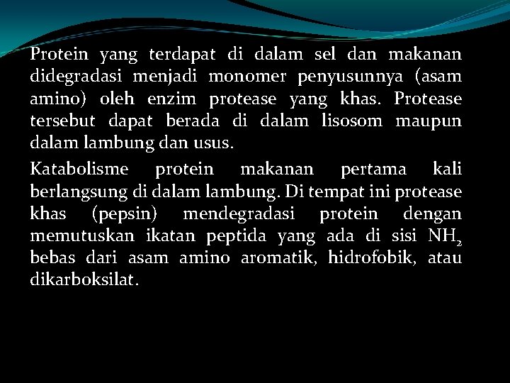 Protein yang terdapat di dalam sel dan makanan didegradasi menjadi monomer penyusunnya (asam amino)