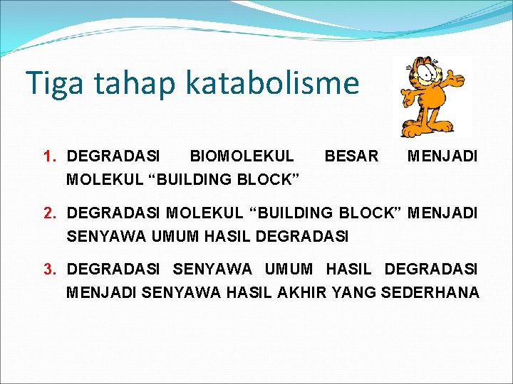 Tiga tahap katabolisme 1. DEGRADASI BIOMOLEKUL “BUILDING BLOCK” BESAR MENJADI 2. DEGRADASI MOLEKUL “BUILDING