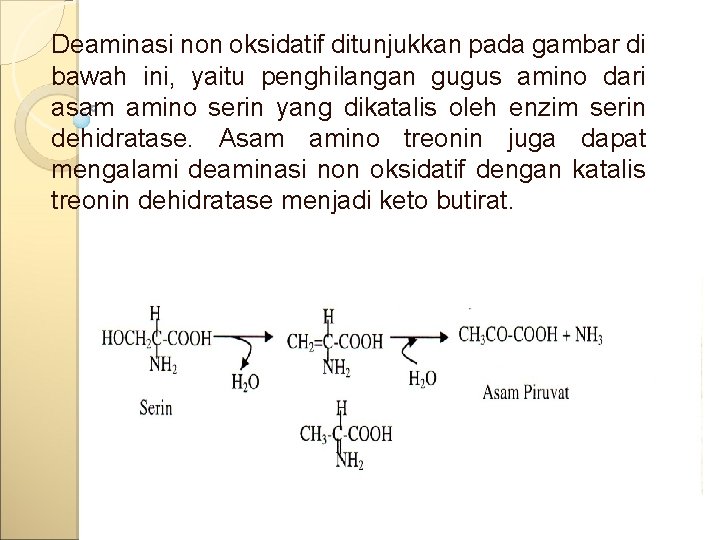 Deaminasi non oksidatif ditunjukkan pada gambar di bawah ini, yaitu penghilangan gugus amino dari