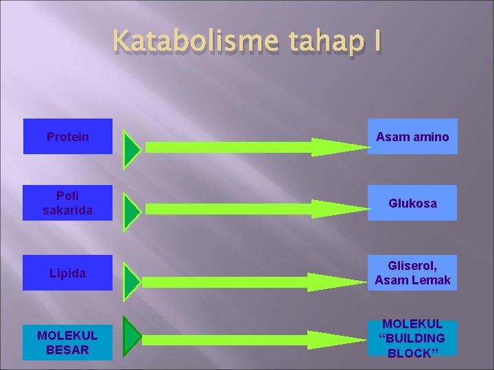Katabolisme tahap I Protein Asam amino Poli sakarida Glukosa Lipida Gliserol, Asam Lemak MOLEKUL