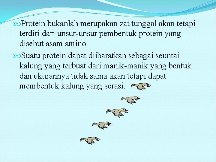  Protein bukanlah merupakan zat tunggal akan tetapi terdiri dari unsur-unsur pembentuk protein yang