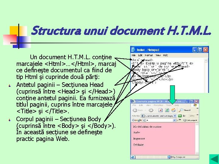 Structura unui document H. T. M. L. Un document H. T. M. L. conţine