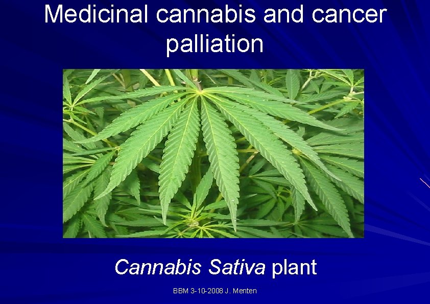Medicinal cannabis and cancer palliation Cannabis Sativa plant BBM 3 -10 -2008 J. Menten