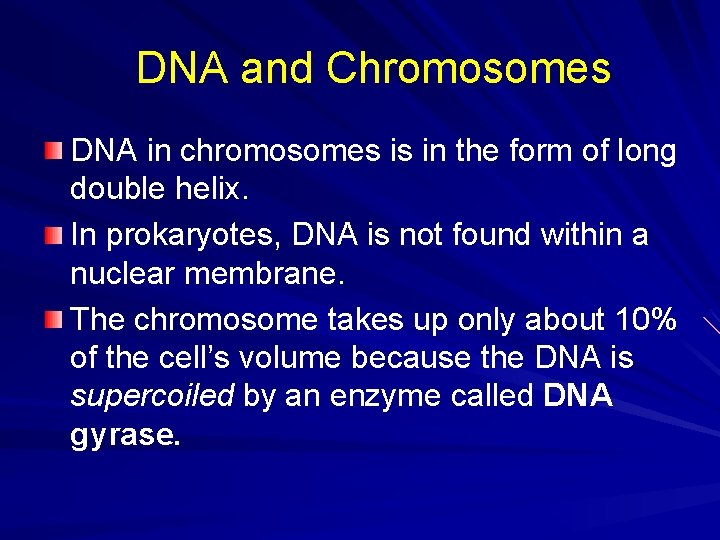 DNA and Chromosomes DNA in chromosomes is in the form of long double helix.