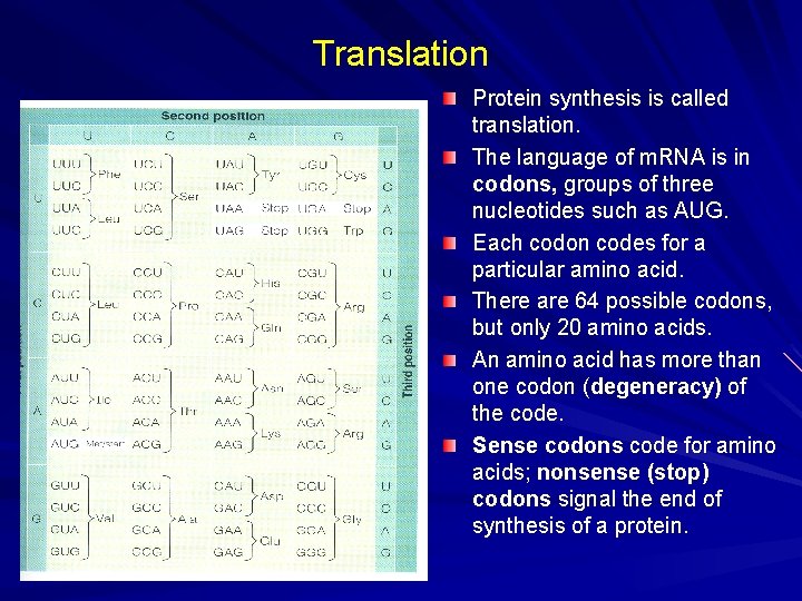 Translation Protein synthesis is called translation. The language of m. RNA is in codons,